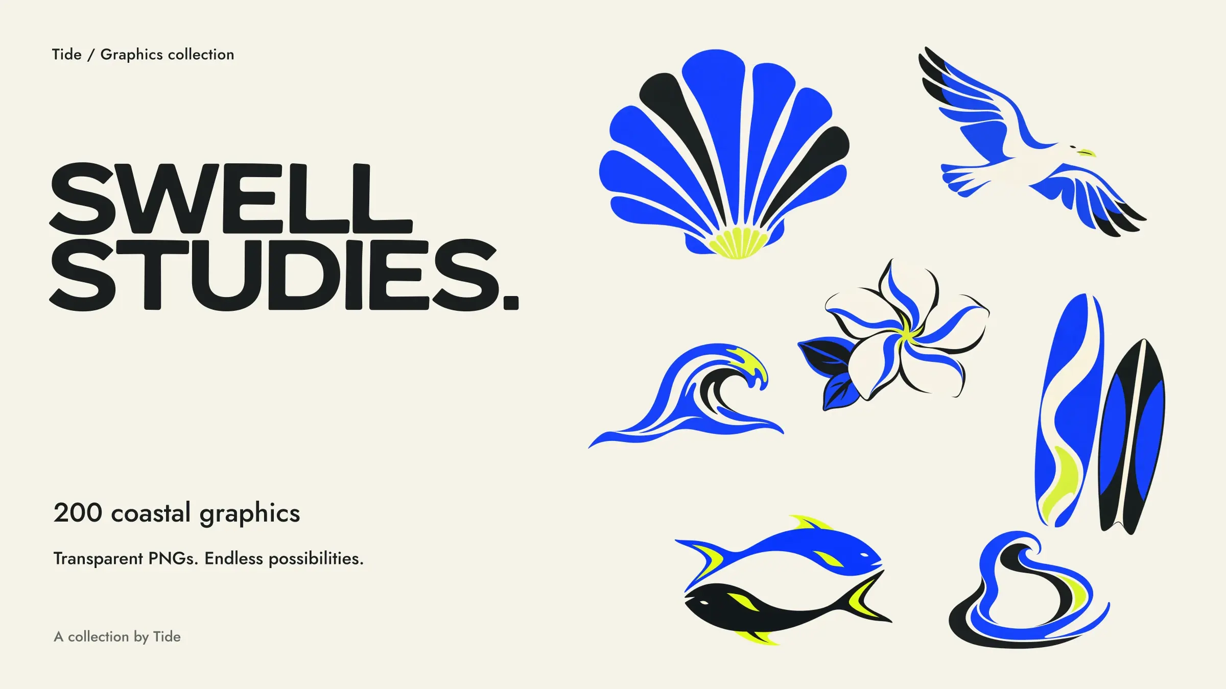 Swell Studies by Tide. 200 coastal graphics as transparent PNGs. Seven actual included designs: scallop shell, gull, frangipani, surfboards, wave, twin fish and tidal orbit, beside all-caps A Little Leisure display type and smaller Jost text on cream.
